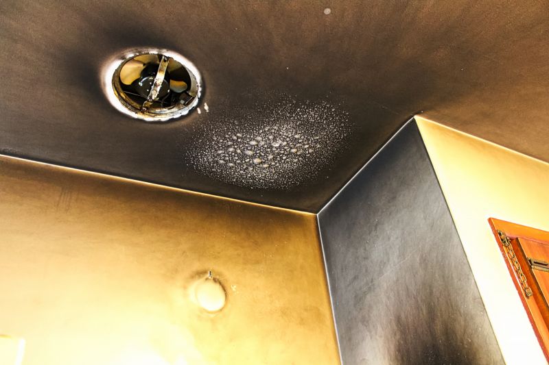 Smoke Mitigation Service