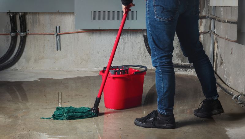 Flood Cleanup Service in Chandler, AZ