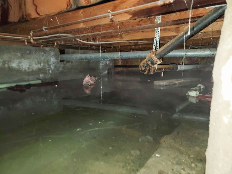 Water Damage Mitigation in Chandler, AZ